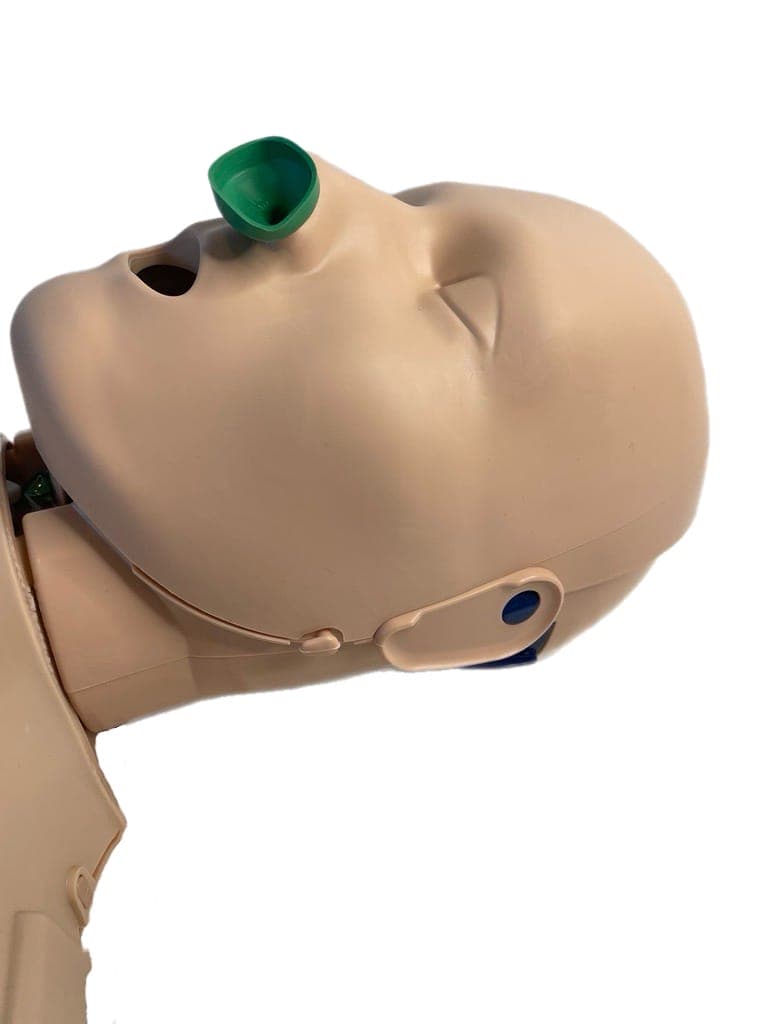 Prestan Pro+ Adult CPR Manikin - Image 4